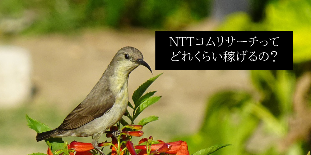 NTTコムリサーチってどれくらい稼げるの？